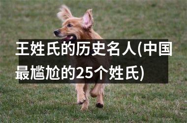 <h3>王姓氏的历史名人(最尴尬的25个姓氏)
