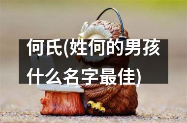 <h3>何氏(姓何的男孩什么名字最佳)