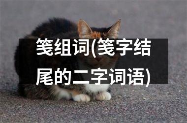 <h3>笺组词(笺字结尾的二字词语)
