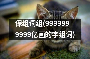 <h3>保组词组(9999999999亿画的字组词)