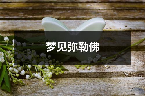 <h3>梦见弥勒佛