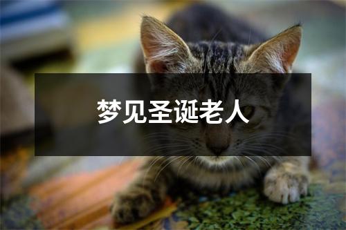 <h3>梦见圣诞老人