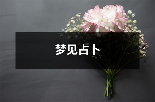 <h3>梦见占卜
