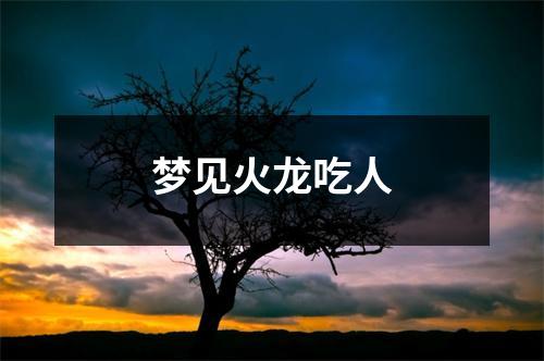 <h3>梦见火龙吃人