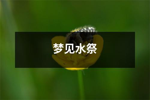 <h3>梦见水祭