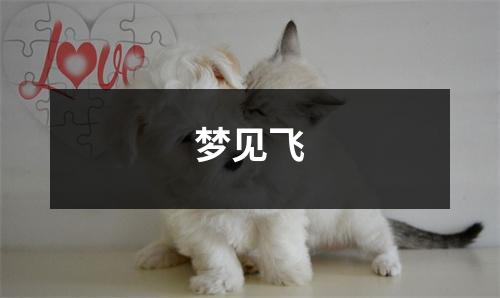 <h3>梦见飞