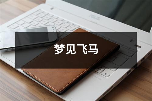<h3>梦见飞马