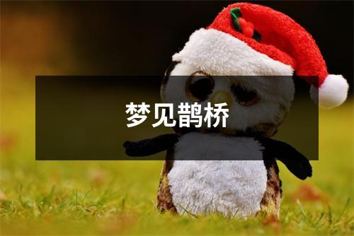 <h3>梦见鹊桥
