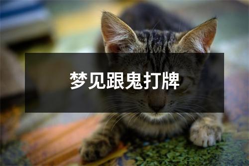 <h3>梦见跟鬼打牌