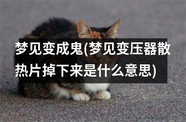 <h3>梦见变成鬼(梦见变压器散热片掉下来是什么意思)