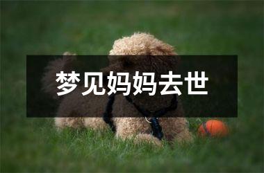 <h3>梦见妈妈去世