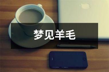 <h3>梦见羊毛