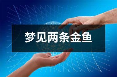 梦见两条金鱼