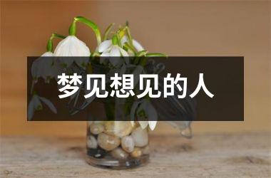 <h3>梦见想见的人