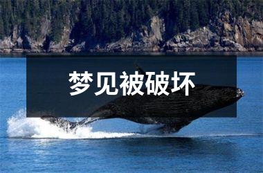 <h3>梦见被破坏