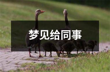 <h3>梦见给同事