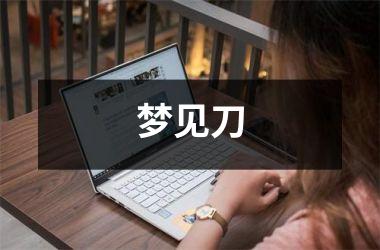 <h3>梦见刀