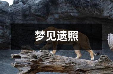 <h3>梦见遗照