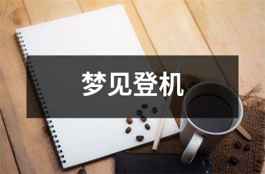 <h3>梦见登机
