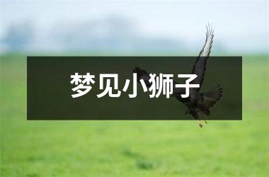 <h3>梦见小狮子