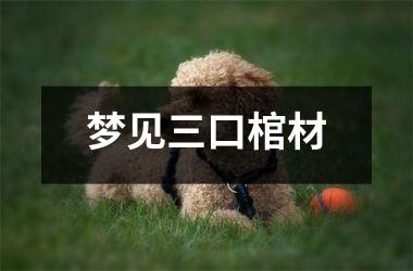 <h3>梦见三口棺材