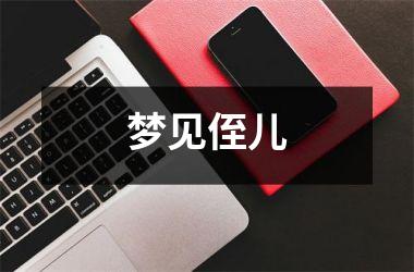 <h3>梦见侄儿