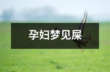 <h3>孕妇梦见屎