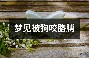 <h3>梦见被狗咬胳膊