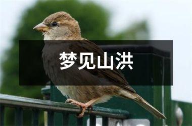 <h3>梦见山洪