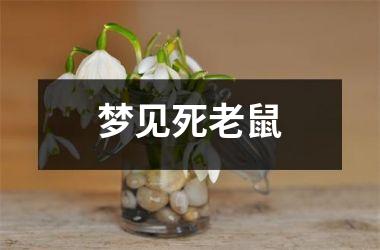<h3>梦见死老鼠