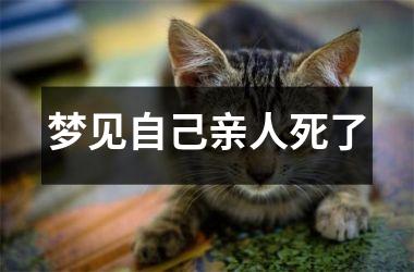 <h3>梦见自己亲人死了