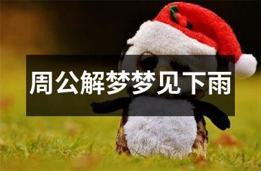 <h3>周公解梦梦见下雨