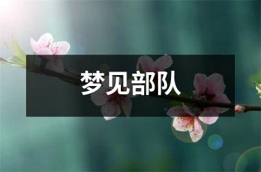 <h3>梦见部队