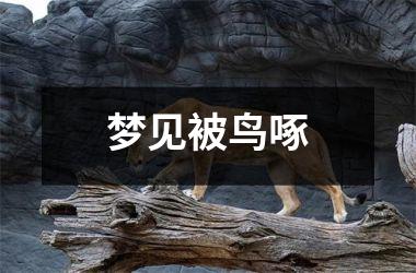 <h3>梦见被鸟啄