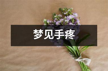 <h3>梦见手疼