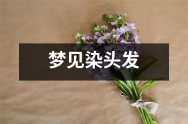 <h3>梦见染头发