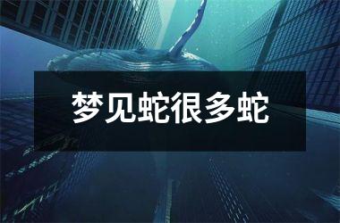 <h3>梦见蛇很多蛇