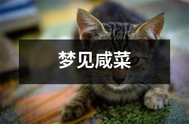 <h3>梦见咸菜