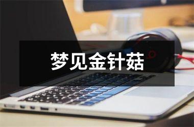 <h3>梦见金针菇