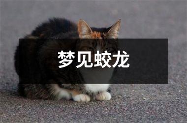 <h3>梦见蛟龙