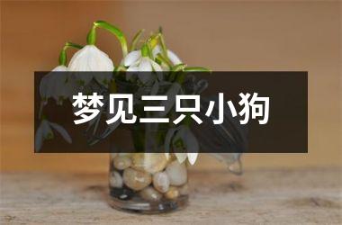 梦见三只小狗