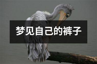 <h3>梦见自己的裤子