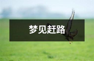 <h3>梦见赶路