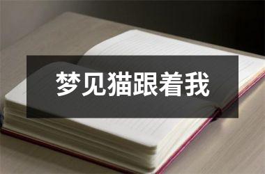 <h3>梦见猫跟着我