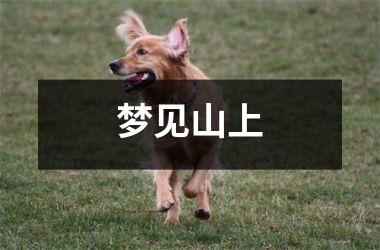<h3>梦见山上