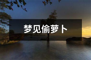 梦见偷萝卜