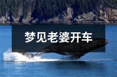 <h3>梦见老婆开车