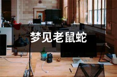 <h3>梦见老鼠蛇