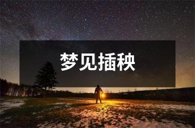 <h3>梦见插秧