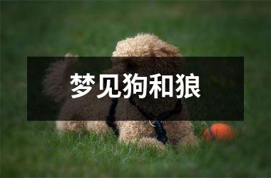 <h3>梦见狗和狼